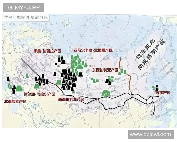 亚马尔地区资源开发与环境保护的协调发展路径研究与实践探索